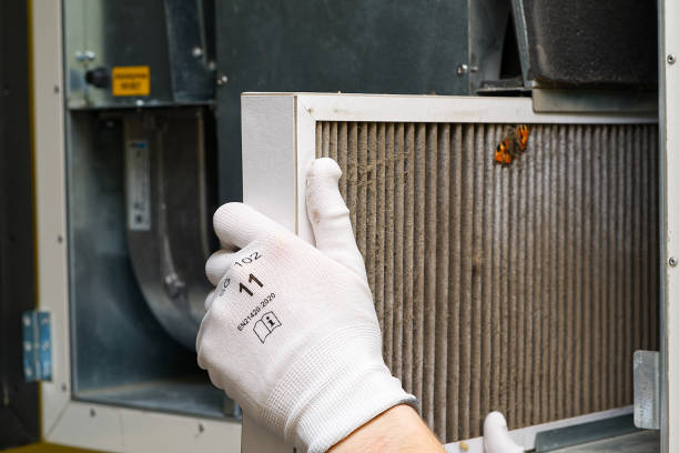 Best HVAC Duct Inspection Services  in La Mirada, CA